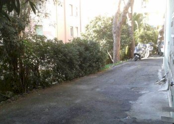 Box Genova (zona Albaro) - foto 6