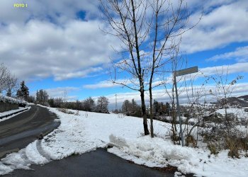 Terreno edificabile Via Comunale per Roncoscaglia, Sestola - foto 7