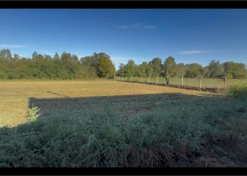 Terreno agricolo Via Sabbione 1, Vottignasco - foto 2