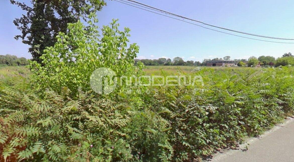 Rustic Modena - photo 3