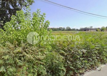 Rustic Modena - photo 3