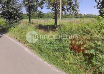 Rustic Modena - photo 4