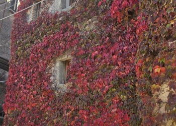 Foto 1 - Appartamento Piazza Cola Di Rienzo, Pietracamela - foto 1