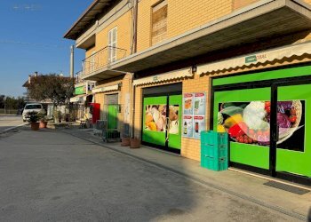 Foto 4 - Commercial Activity Via Roma
 
3, Ortezzano - photo 4