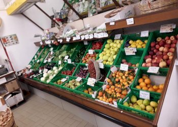 Foto 10 - Commercial Activity Via Roma
 
3, Ortezzano - photo 10