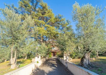 Giardino - Stabile - Palazzo Via Pietra Porzia, Frascati - foto 8