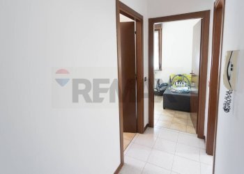 Hall / corridoio - Quadrilocale Via Brianti
 
45, Fontanellato - foto 33