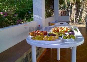 Dettagli - Villa Contrada Tramontana, Ustica - foto 4