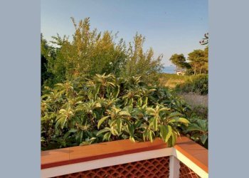 Balcone - Villa Contrada Tramontana, Ustica - foto 7