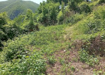 Giardino - Rustic Viale dei Caduti
 
78, Scanno - photo 8