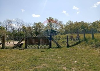 Giardino - Villa Contrada Scodanibbio, San Pietro Avellana - foto 62