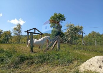 Giardino - Villa Contrada Scodanibbio, San Pietro Avellana - foto 63