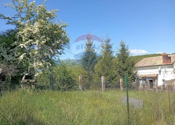 Giardino - Villa Contrada Scodanibbio, San Pietro Avellana - foto 66