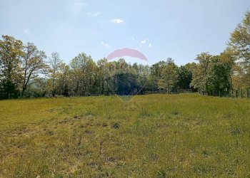 Giardino - Villa Contrada Scodanibbio, San Pietro Avellana - foto 67