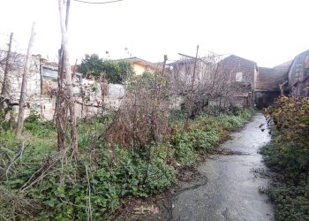 Foto 25 - Rustico via Giulio Perrone
 
23, Castel Morrone - foto 25