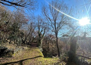 Vista delle montagne - Rustico Badia Calavena - foto 4
