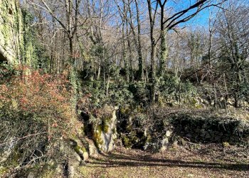 Vista delle montagne - Rustico Badia Calavena - foto 5