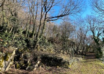 Giardino - Rustico Badia Calavena - foto 8