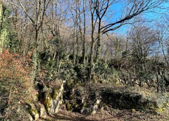 Vista delle montagne - Rustico Badia Calavena - foto 9