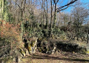 Giardino - Rustico Badia Calavena - foto 10