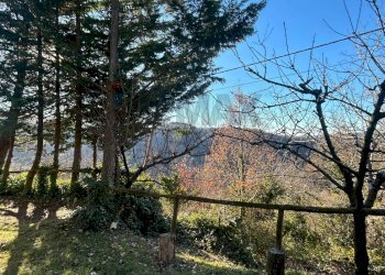 Vista delle montagne - Rustico Badia Calavena - foto 11