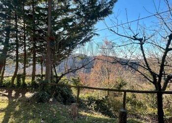 Vista delle montagne - Rustico Badia Calavena - foto 12