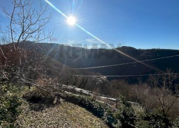 Vista delle montagne - Rustico Badia Calavena - foto 26