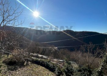 Vista delle montagne - Rustico Badia Calavena - foto 30