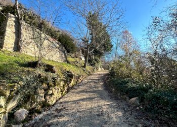 Giardino - Rustico Badia Calavena - foto 32