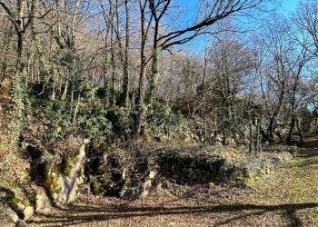 Vista delle montagne - Rustico Badia Calavena - foto 33