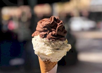 Altro - Bar - Tabacchi - Ricevitoria Signa - foto 10