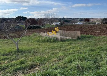 Foto 19 - Baita Strada Grassitello, Martina Franca - photo 19