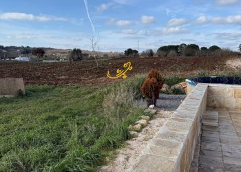 Foto 20 - Baita Strada Grassitello, Martina Franca - photo 20