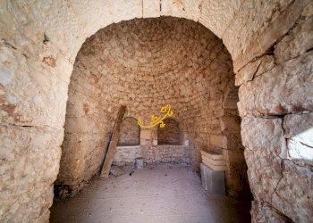 Foto 19 - Rustico Strada Comunale Barsento, Alberobello - foto 19