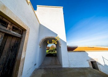 Foto 21 - Rustico Strada Comunale Barsento, Alberobello - foto 21