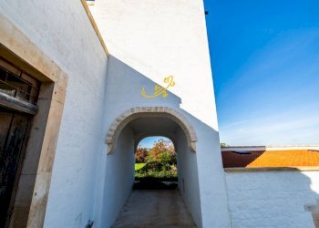 Foto 22 - Rustico Strada Comunale Barsento, Alberobello - foto 22