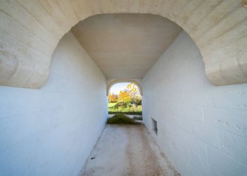 Foto 23 - Rustico Strada Comunale Barsento, Alberobello - foto 23