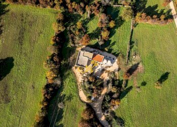 Foto 27 - Rustico Strada Comunale Barsento, Alberobello - foto 27