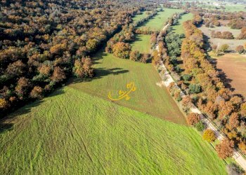 Foto 31 - Rustico Strada Comunale Barsento, Alberobello - foto 31