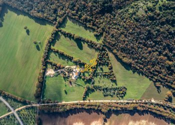 Foto 32 - Rustico Strada Comunale Barsento, Alberobello - foto 32