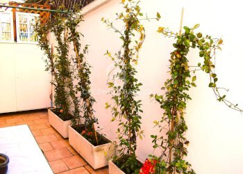 Foto 17 - Bilocale Via di Monte del Gallo, Roma - foto 17