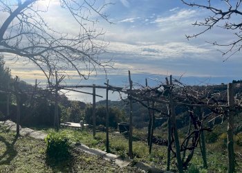 Giardino - Casa indipendente Sorlana, Lavagna - foto 6