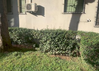 Magazzino Milano (zona Ponte Seveso) - foto 9