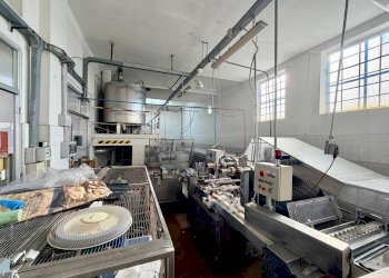 Capannone Piobesi Torinese - foto 7