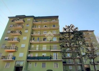 Two-room apartment Senago, Senago - photo 1