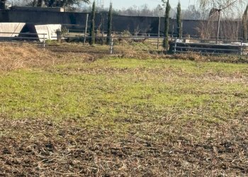 Foto 2 - Terreno agricolo cascina cazzullo, Sulbiate - foto 2