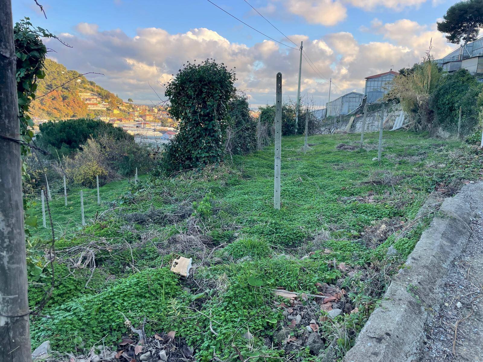 Foto 2 - Terreno edificabile Corso Repubblica, Camporosso - foto 2