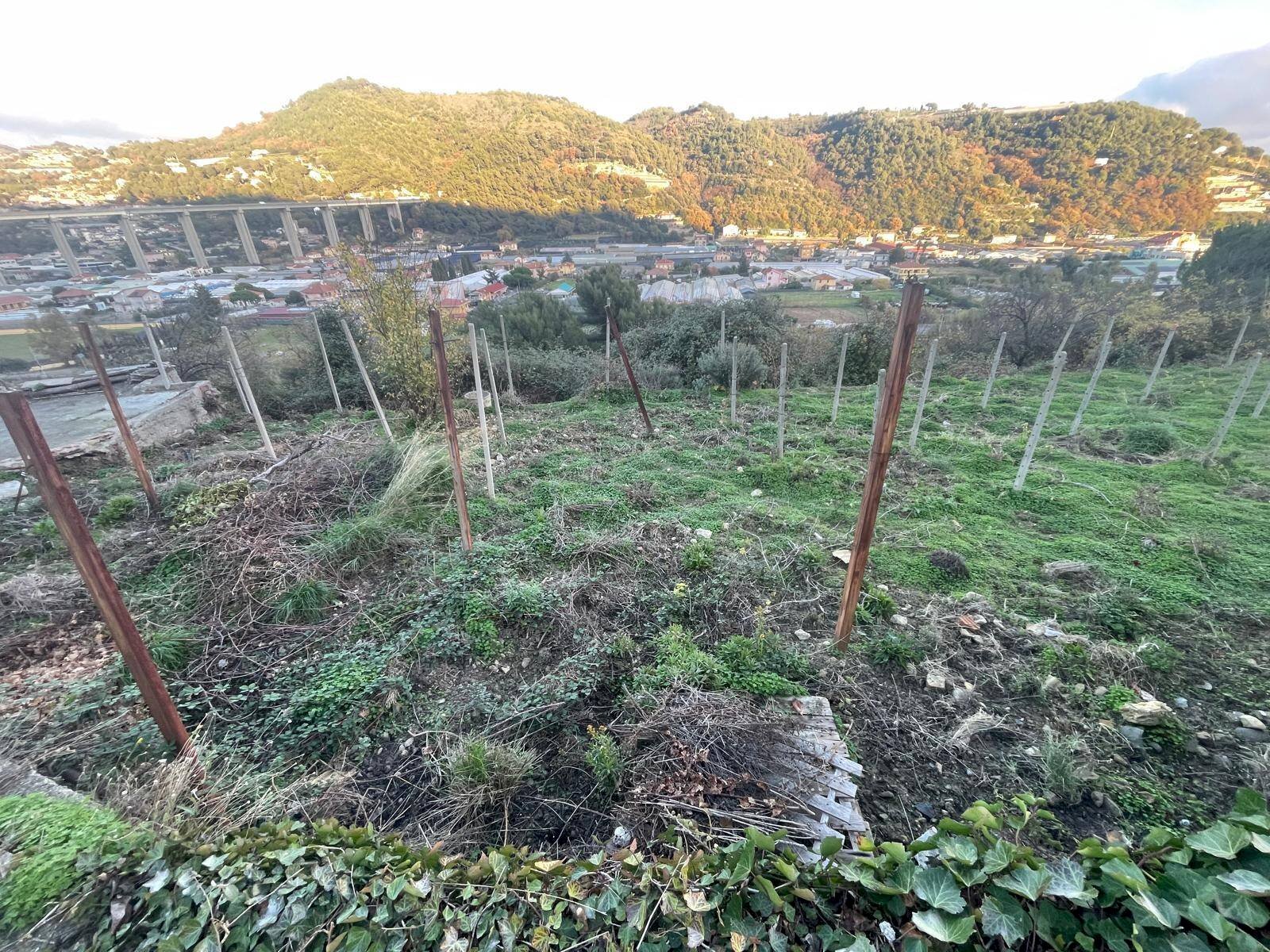 Foto 3 - Terreno edificabile Corso Repubblica, Camporosso - foto 3