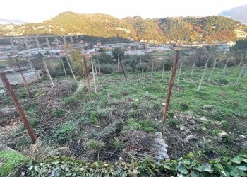 Foto 3 - Terreno edificabile Corso Repubblica, Camporosso - foto 3