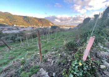 Foto 4 - Terreno edificabile Corso Repubblica, Camporosso - foto 4